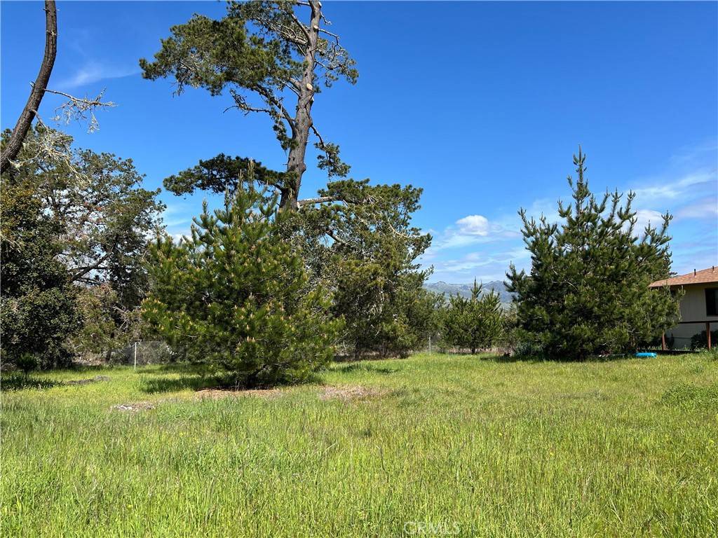 Cambria, CA 93428,2540 Malvern ST