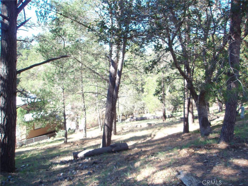 Cambria, CA 93428,0 Pierce AVE
