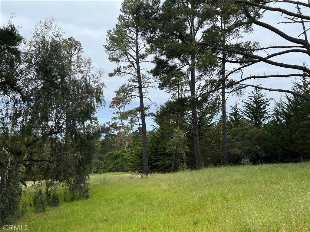 Cambria, CA 93428,0 Bradford RD