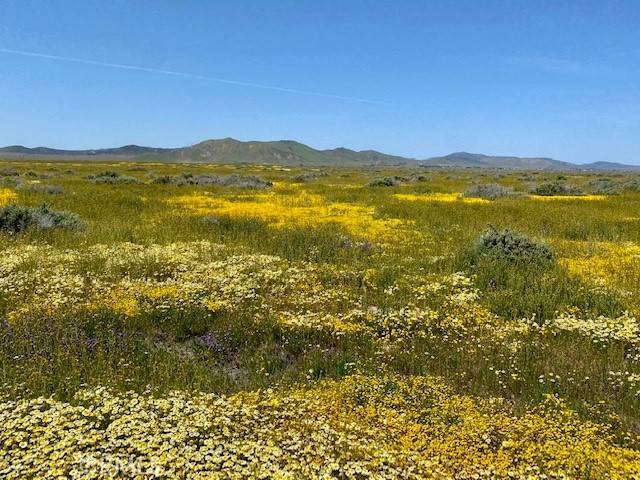 Santa Margarita, CA 93453,0 Bonsall RD