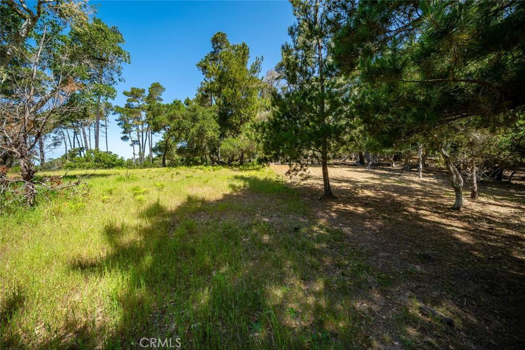 Cambria, CA 93428,6475 Kathryn DR
