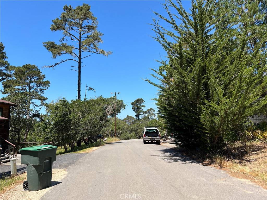 Cambria, CA 93428,0 Alban PL