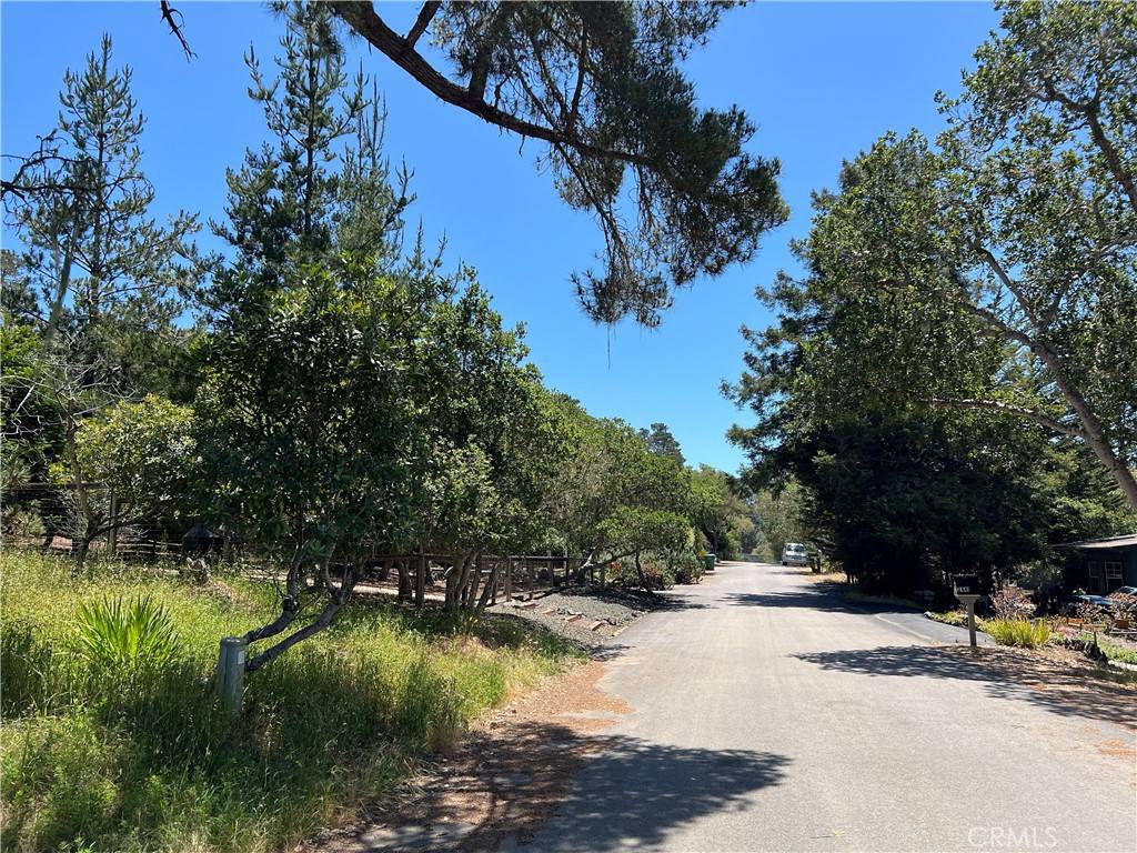 Cambria, CA 93428,0 Alban PL