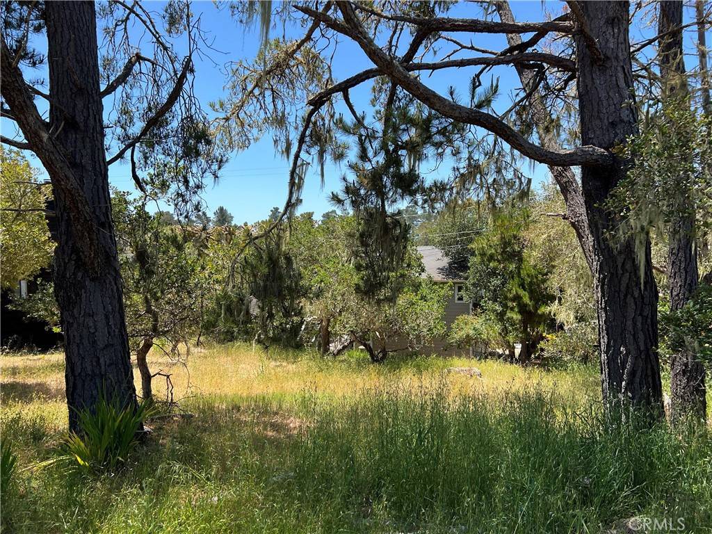 Cambria, CA 93428,0 Alban PL