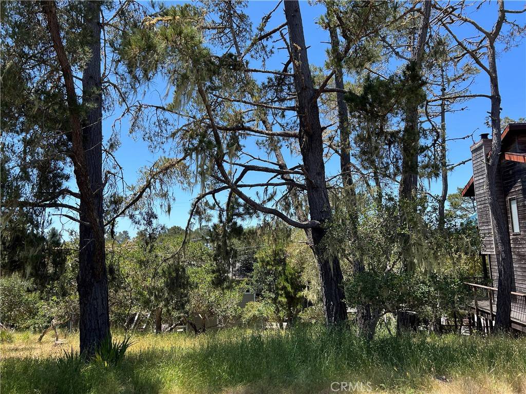 Cambria, CA 93428,0 Alban PL