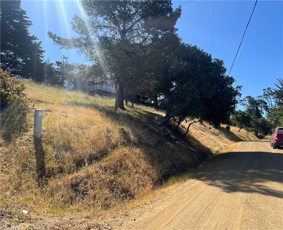 Cambria, CA 93428,0 Pierce AVE