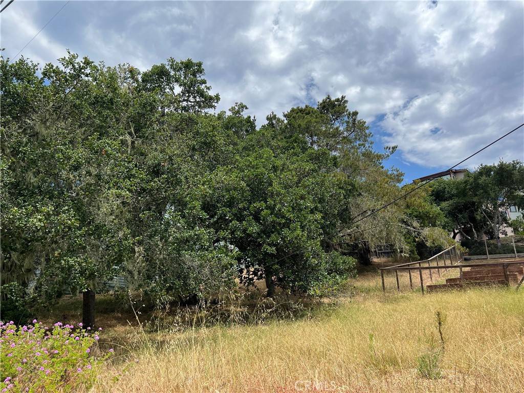 Cambria, CA 93428,0 Canterbury LN