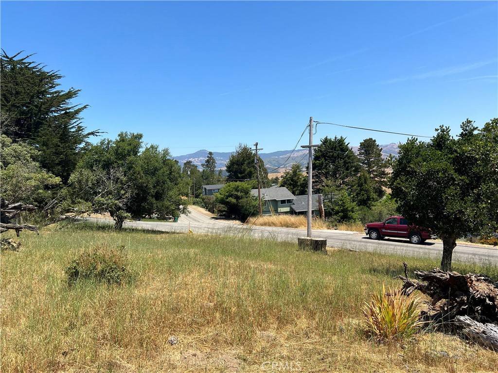 Cambria, CA 93428,0 Pineridge DR