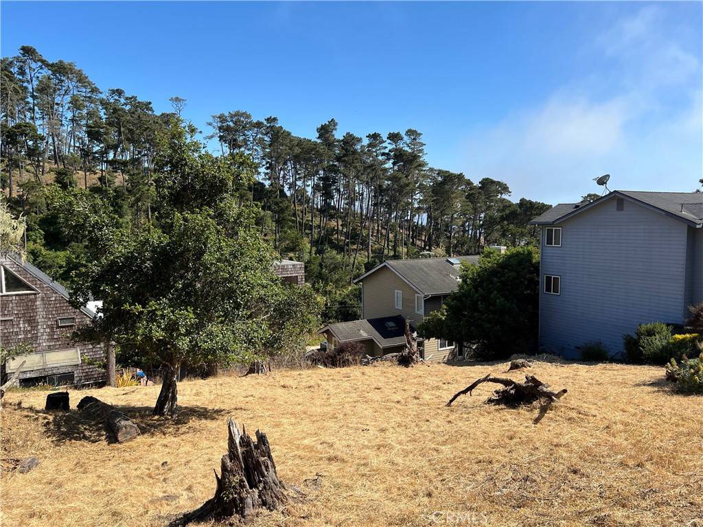 Cambria, CA 93428,0 Newhall AVE