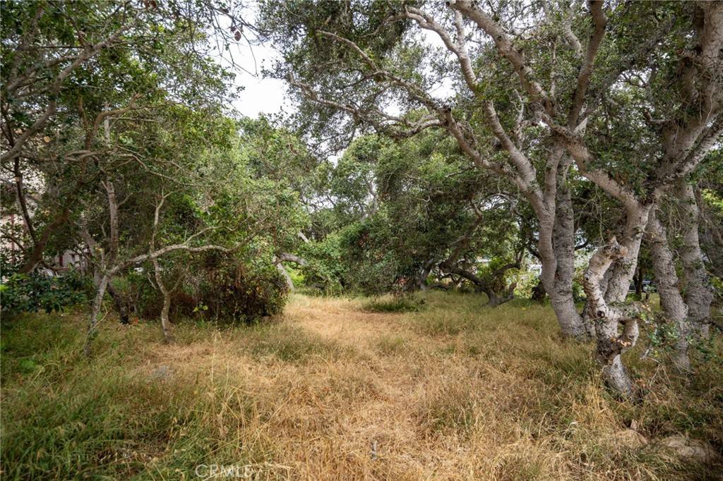 Los Osos, CA 93402,1627 6th ST