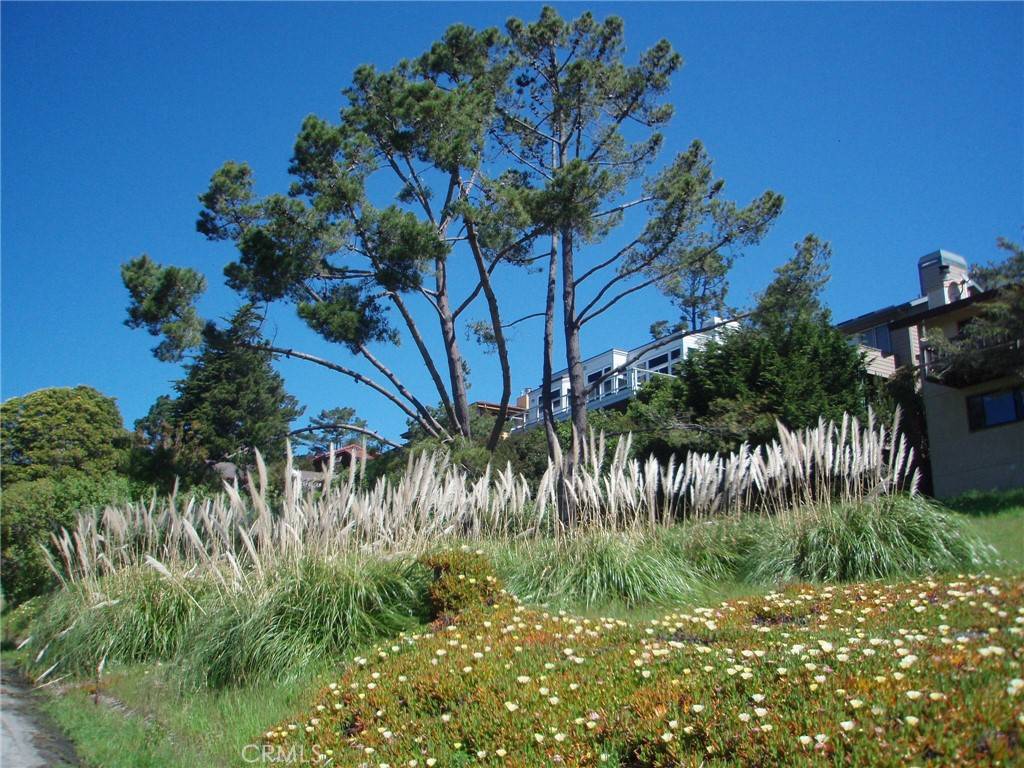 Cambria, CA 93428,1970 Emmons RD