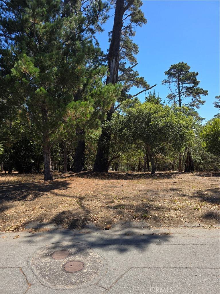 Cambria, CA 93428,2418 Malvern ST