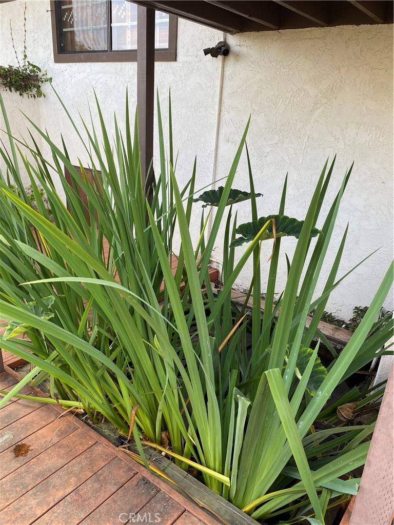 Los Osos, CA 93402,1421 Las Encinas DR