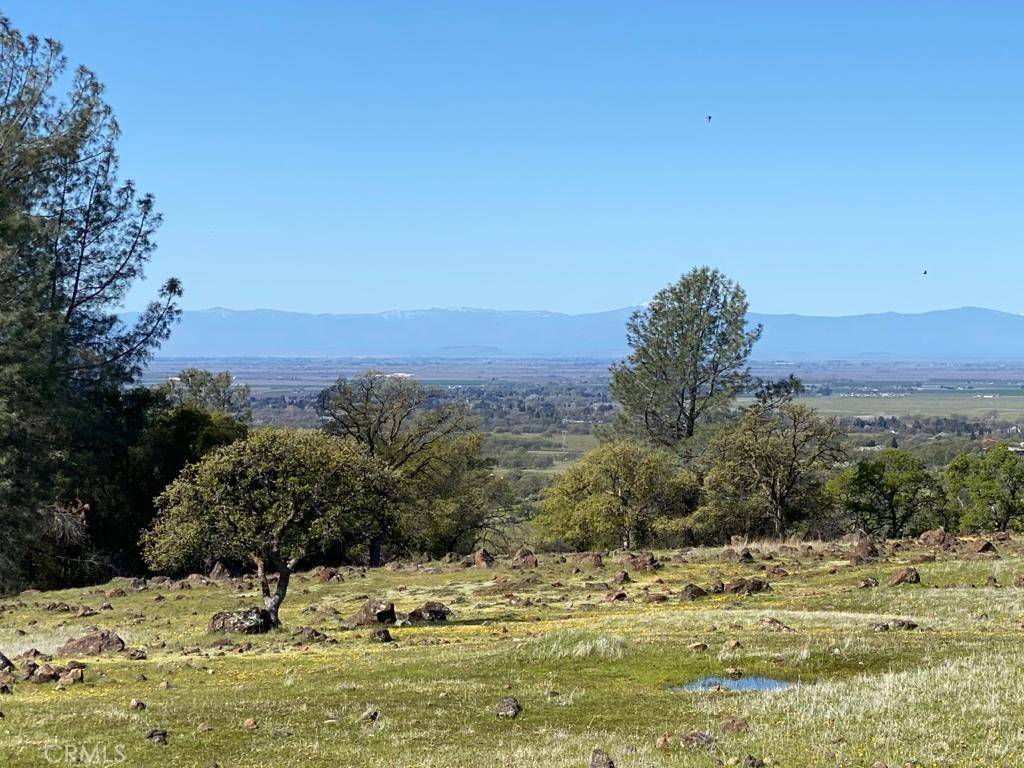 Chico, CA 95973,0 Richardson Springs RD
