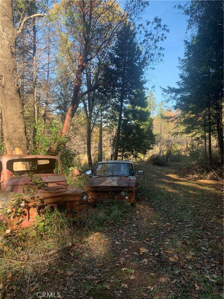 Concow, CA 95965,0 Four Trees Road