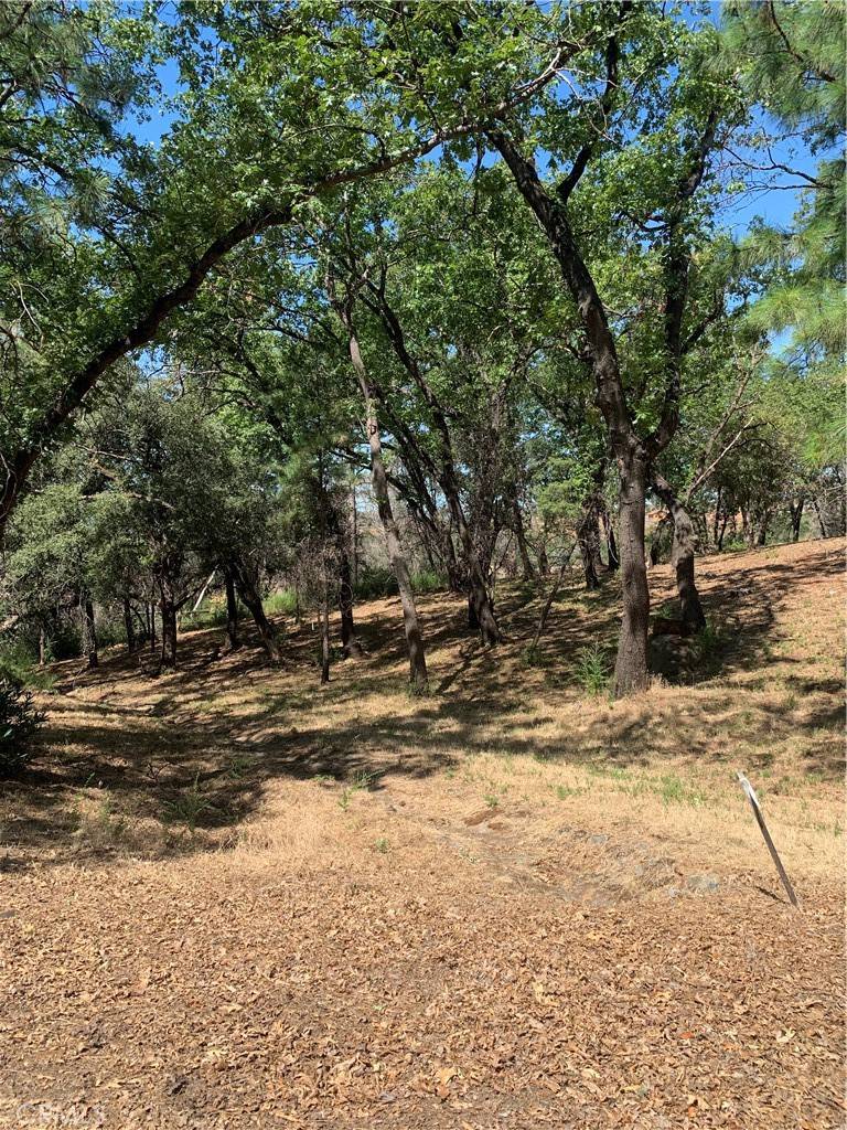 Paradise, CA 95969,4896 Malibu DR