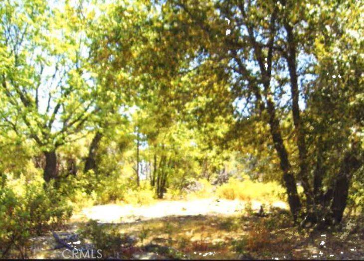 Berry Creek, CA 95916,3416 Big Ridge RD