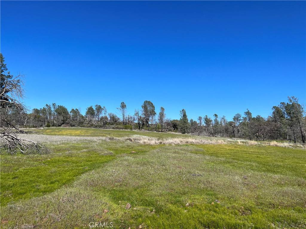 Paradise, CA 95969,0 Lindenbaum