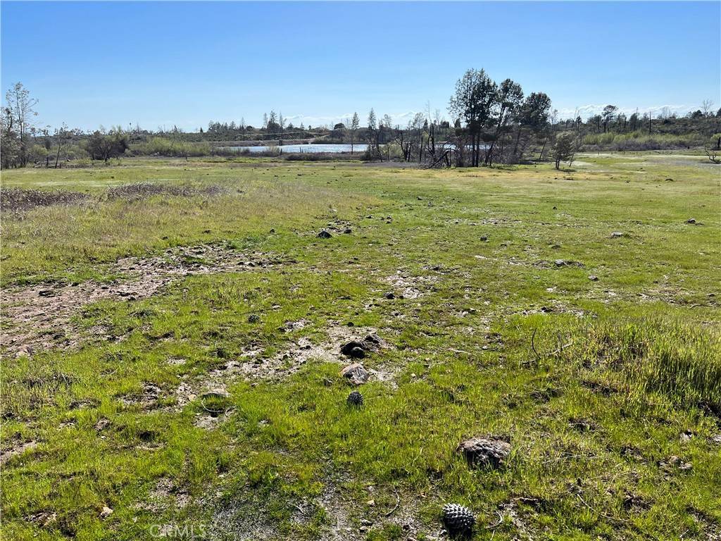 Paradise, CA 95969,0 Lindenbaum