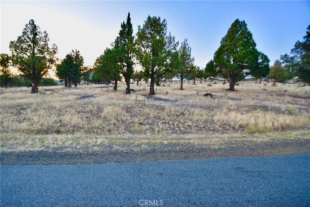 Weed, CA 96094,0 Lake Shastina Dr.