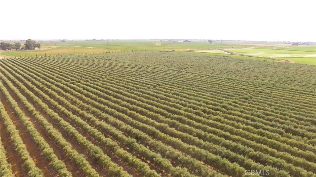 Unincorporated, CA 95965,0 Cottonwood RD