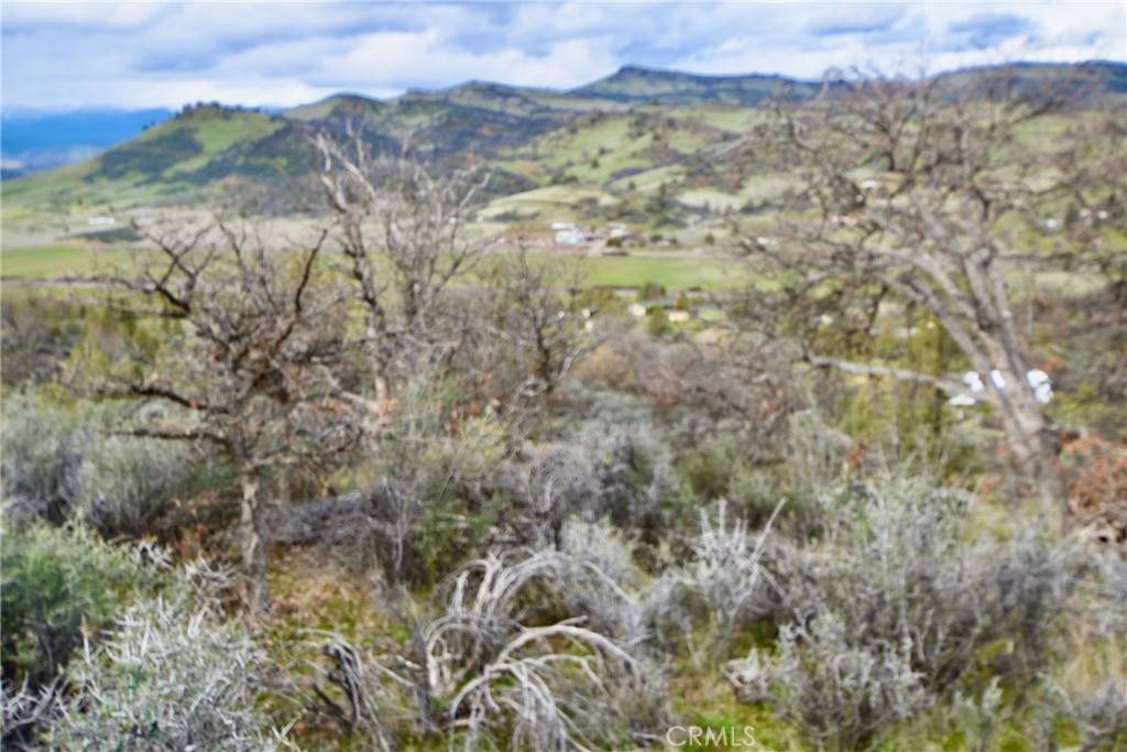 Hornbrook, CA 96044,0 Rooster