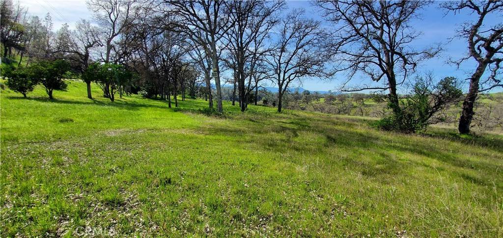 Corning, CA 96021,16220 Rancho Tehama RD