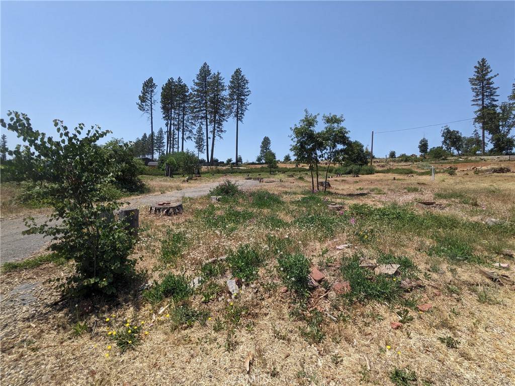 Paradise, CA 95969,6545 Kathleen LN