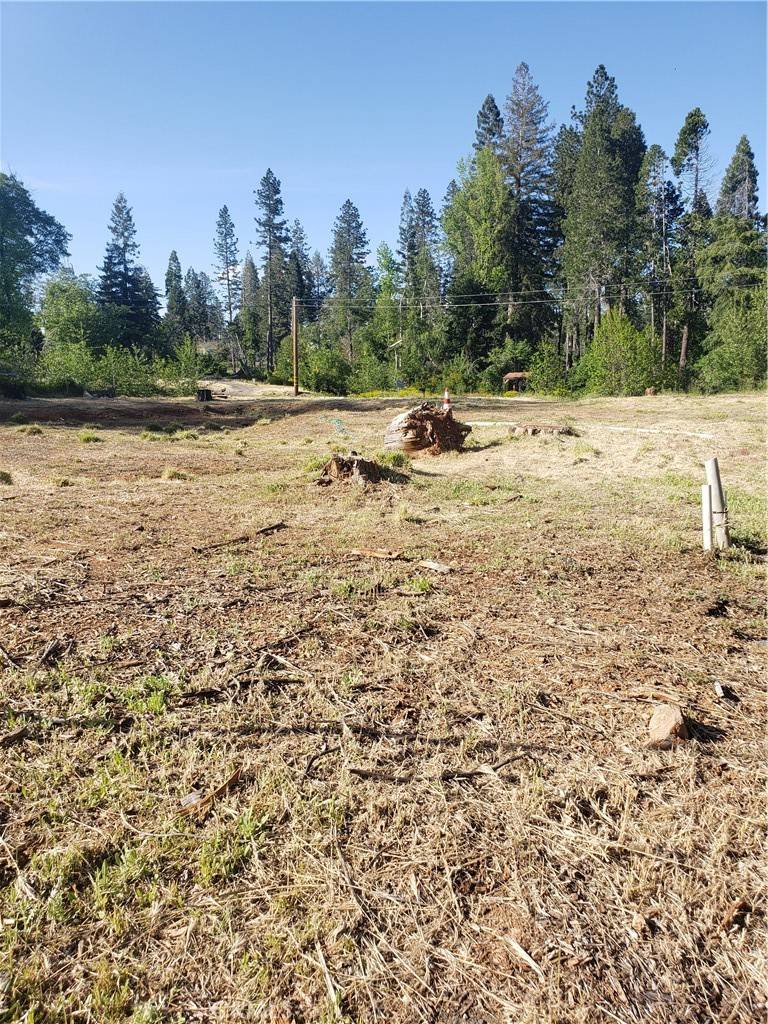 Paradise, CA 95969,994 Saxberg DR