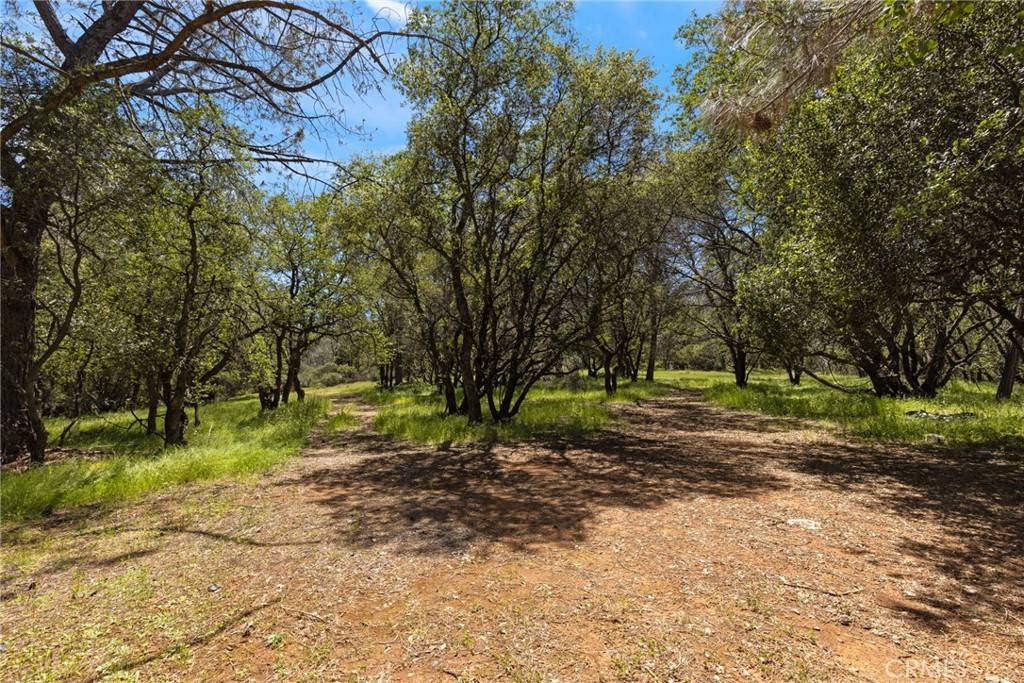 Cherokee, CA 95965,4 Oregon Gulch