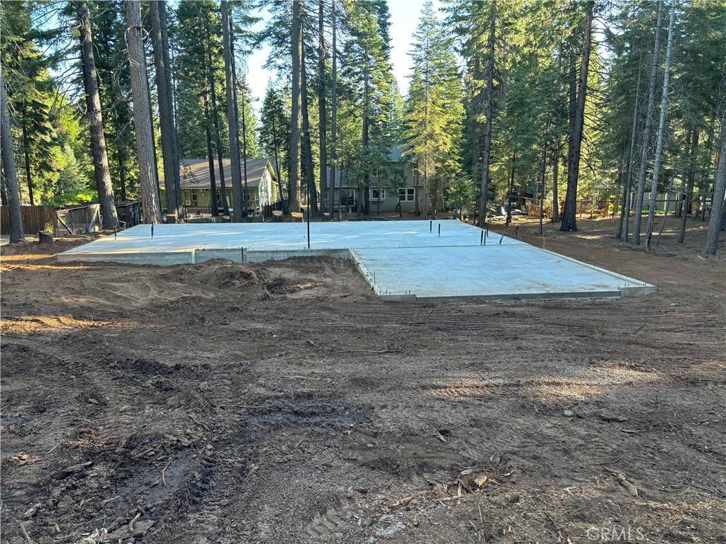 Lake Almanor West, CA 96020,317 Raccoon Trail