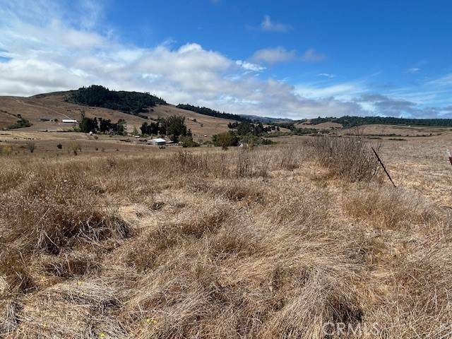 Bodega, CA 94922,330 Valley Ford Freestone RD