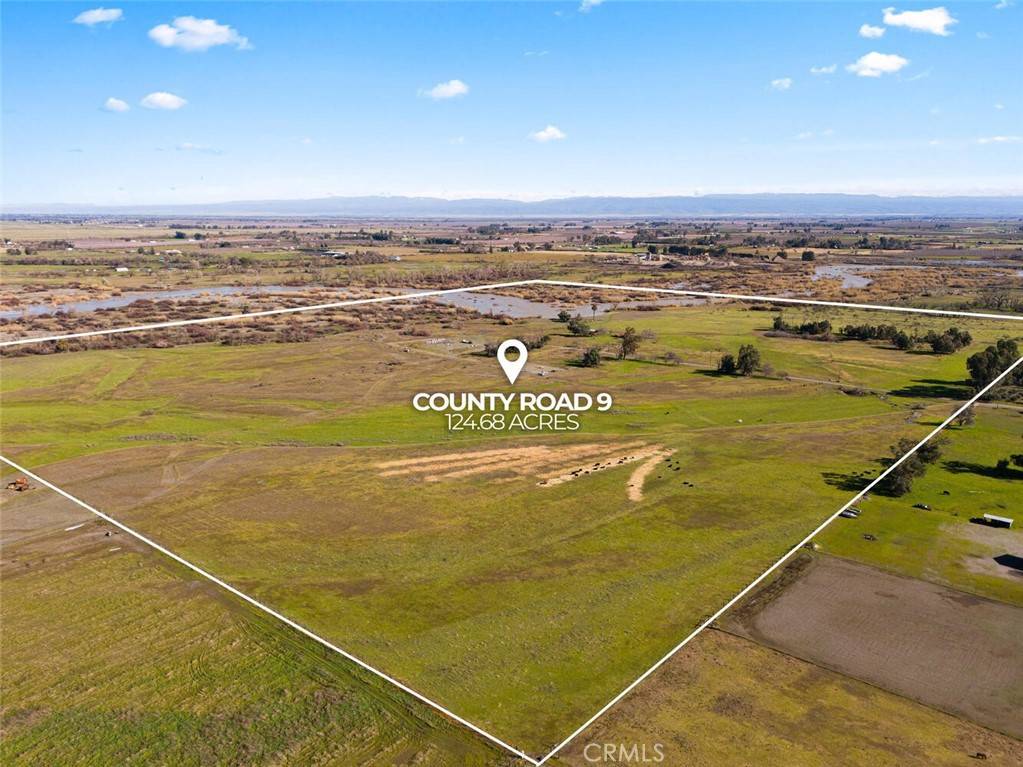Orland, CA 95963,0 County Road 9