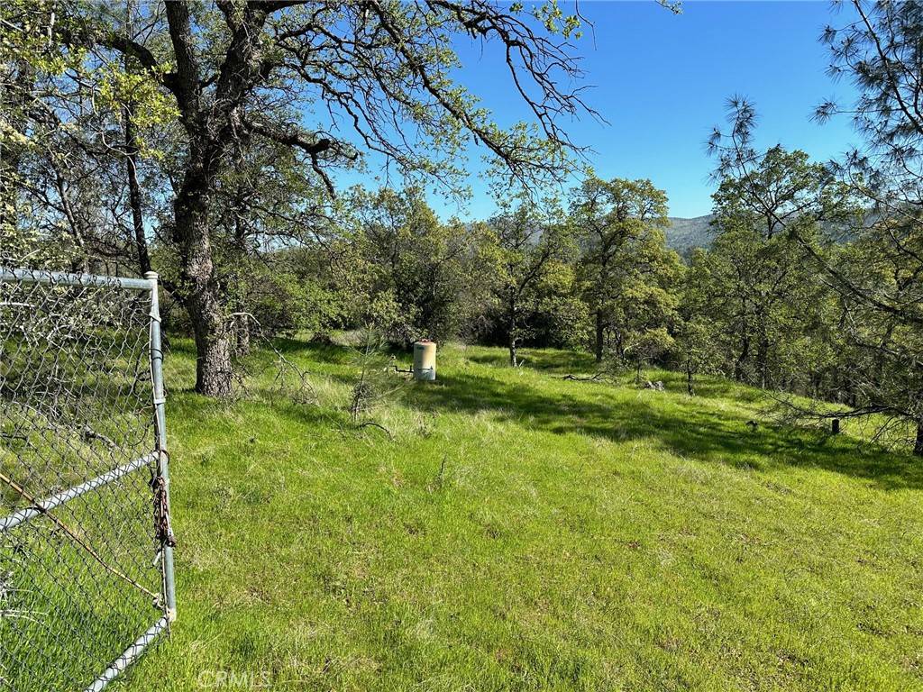 Oroville, CA 95966,169 Shady Oak DR