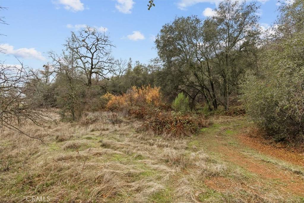 Browns Valley, CA 95918,10996 Peoria Road