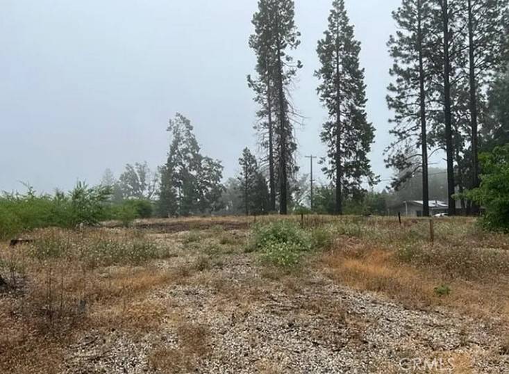 Magalia, CA 95954,13620 S Park DR