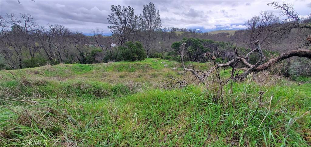 Corning, CA 96021,6960 Cougar DR
