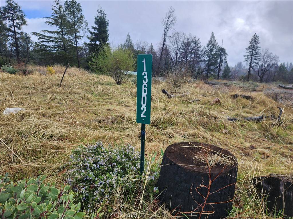 Magalia, CA 95954,13602 Andover DR