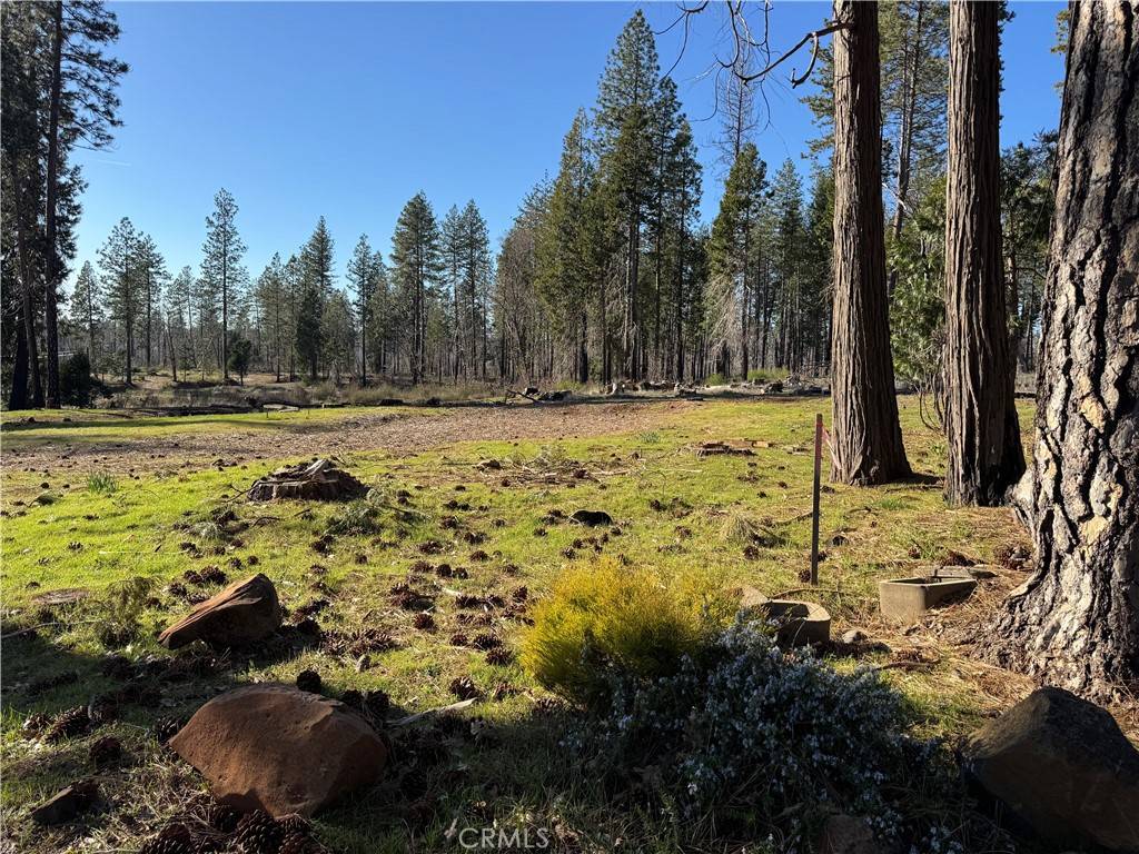 Magalia, CA 95954,13787 Curtis CT