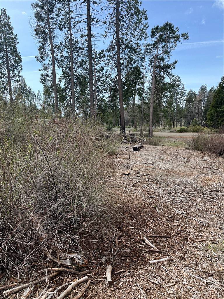 Magalia, CA 95954,13924 Chestnut CIR