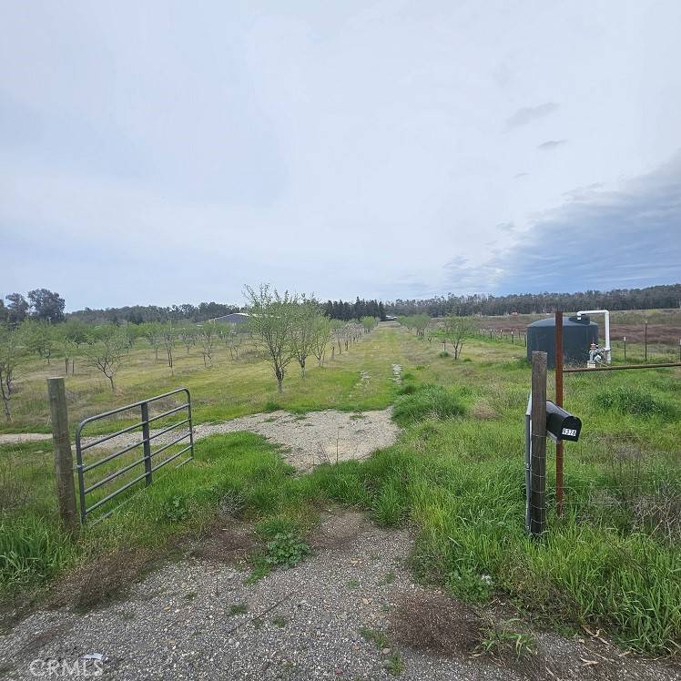 Orland, CA 95963,6378 County Road 11
