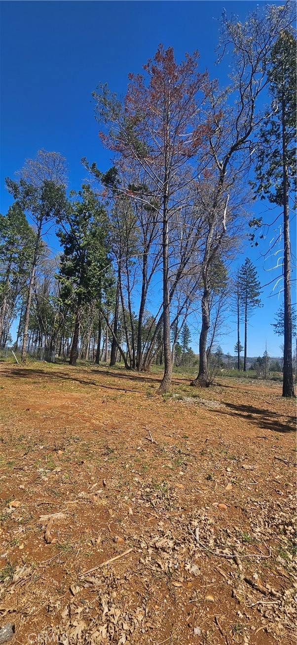 Magalia, CA 95954,0 Skyway
