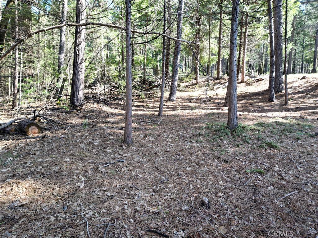 Magalia, CA 95954,0 Skyway