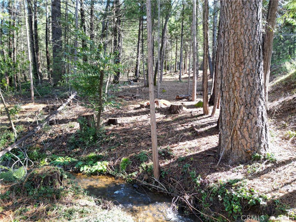 Magalia, CA 95954,0 Skyway