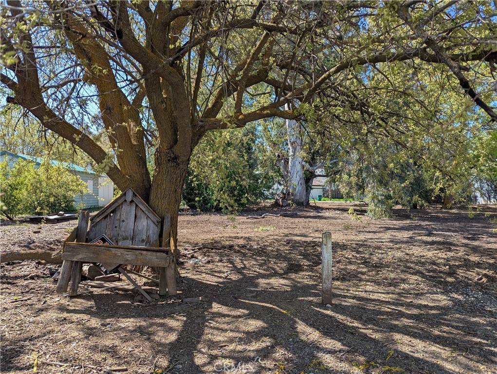 Willows, CA 95988,0 5th ST
