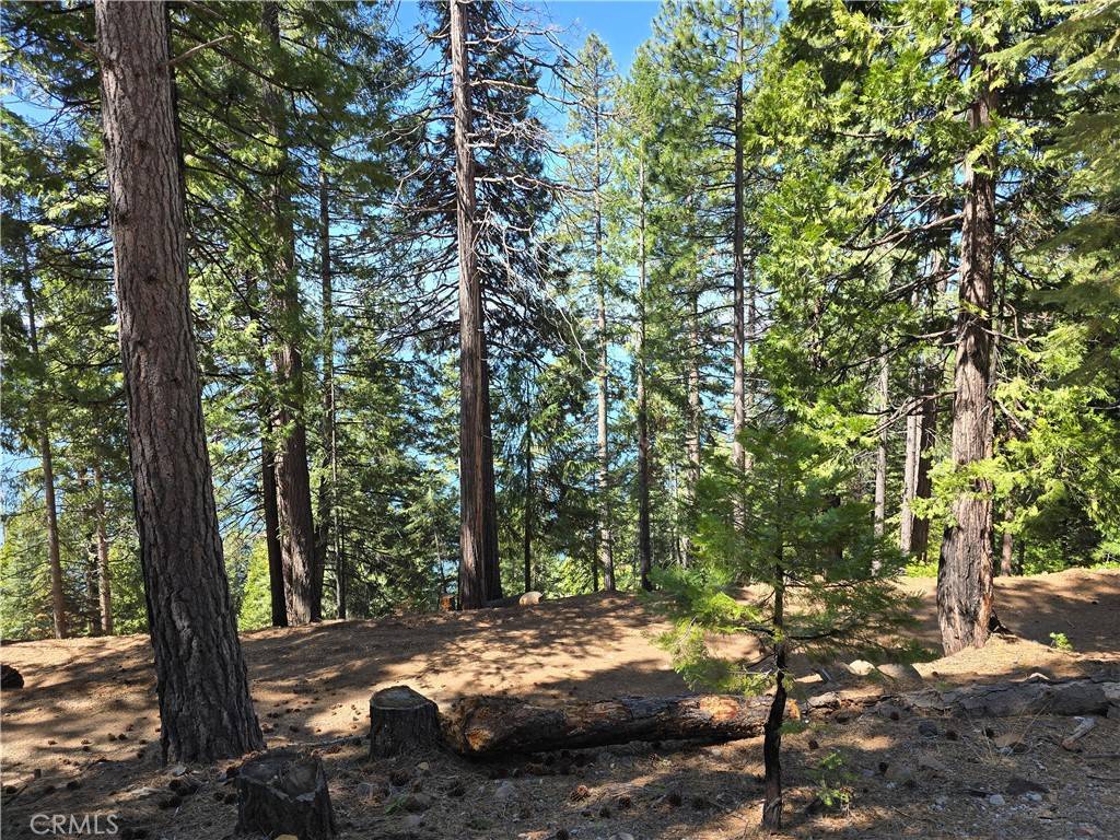 Lake Almanor, CA 96137,777 Lassen View DR