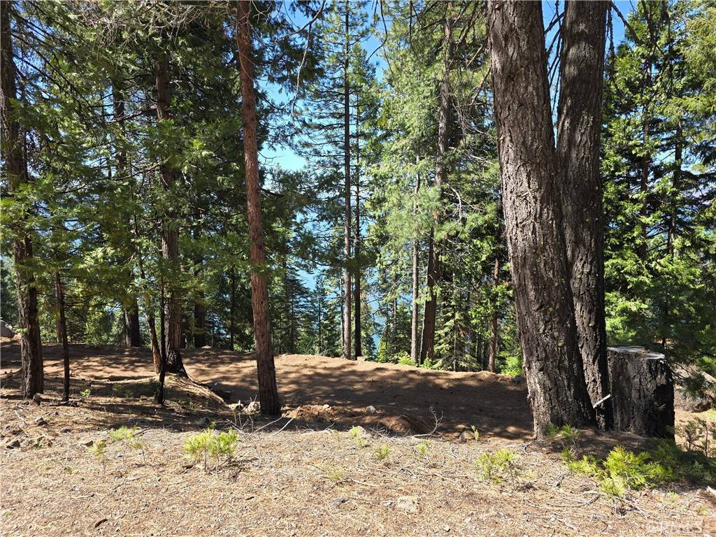 Lake Almanor, CA 96137,777 Lassen View DR