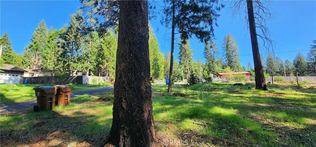 Magalia, CA 95954,0 Goldcone