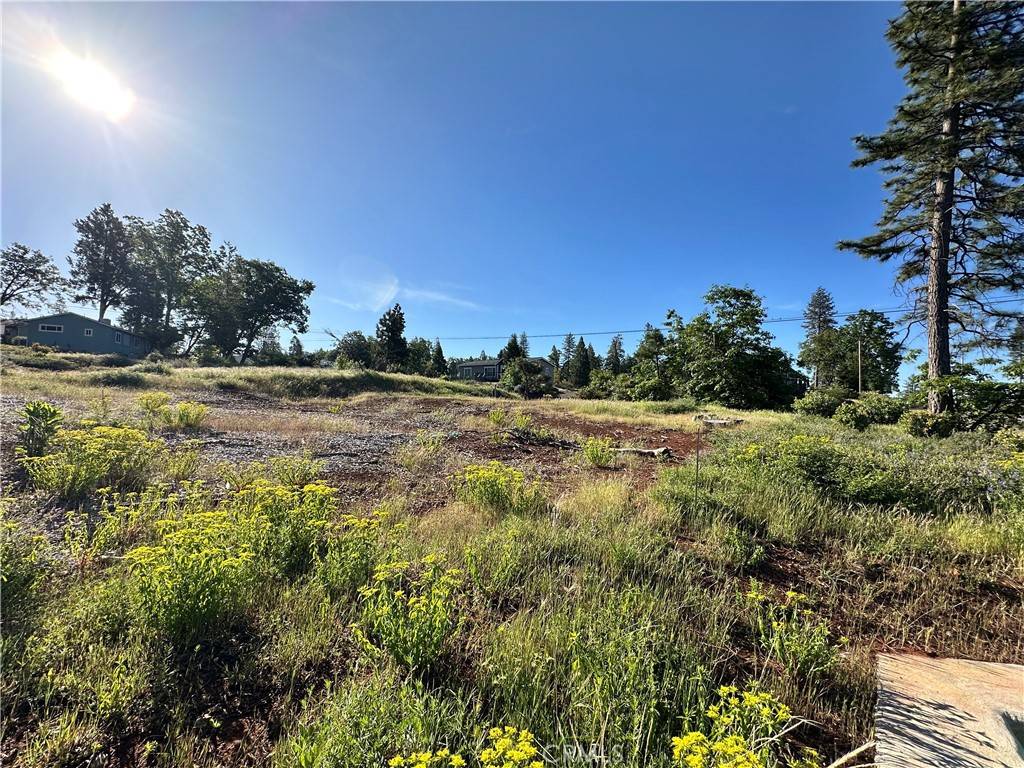 Magalia, CA 95954,6203 Woodbury DR