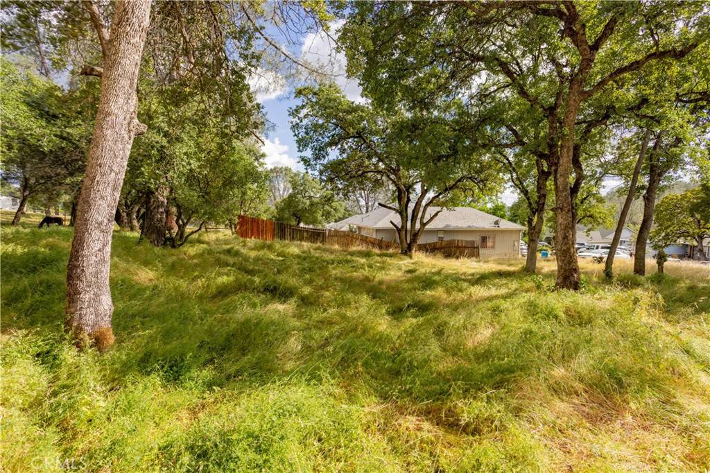 Oroville, CA 95966,1 Celena CT